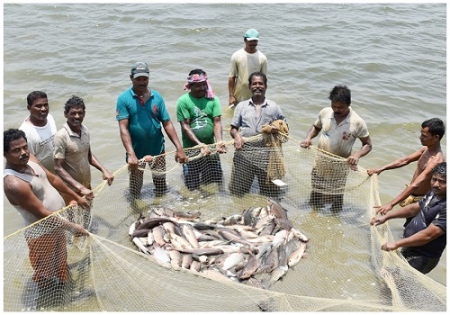 Government ropes in ONDC to bring fishermen on e-market platform