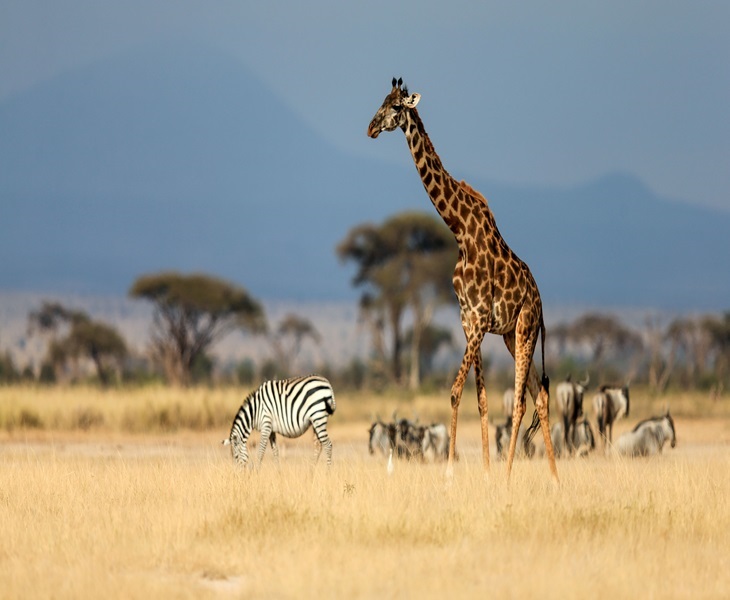 Kenya launches nine regional circuits to boost tourism