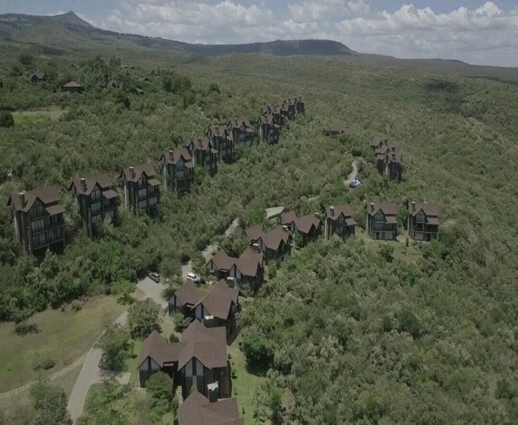 Kenya's pristine forest draws tourists to geothermal steam sauna