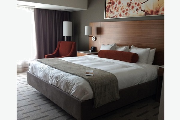 Hotel and Accommodation Reviews: Guiding Travelers to Better Stays