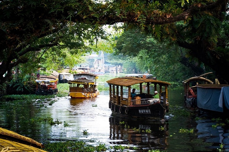 Thenmala in the Monsoon: Keralas First Ecotourism Jewel Amid Rain and Green