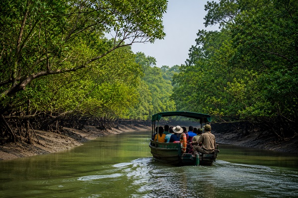 Sundarbans Mangrove Tourism: Exploring the World’s Largest Tidal Forest