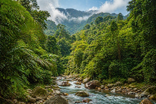 Sumatra – Wild and Untamed: A Journey into Nature’s Raw ...