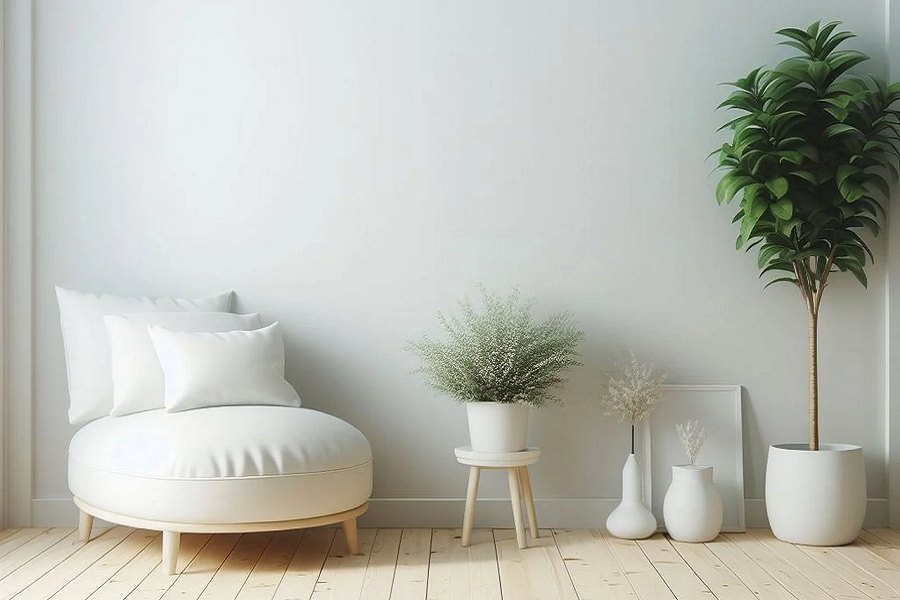 The Art of Minimalist Living in a Consumer Society