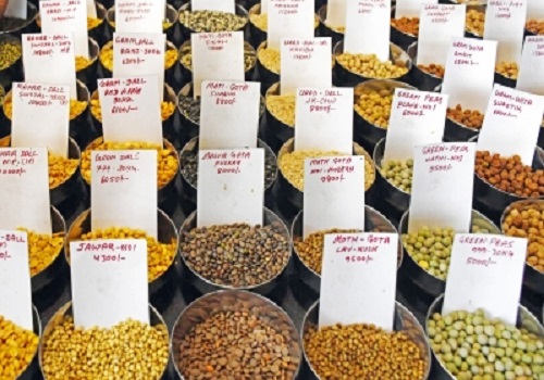 India Acts Swiftly: Duty on Chana Lifted, Import Window for Yellow Peas Extended to Bolster Pulse Supply by Amit Gupta, Kedia Advisory