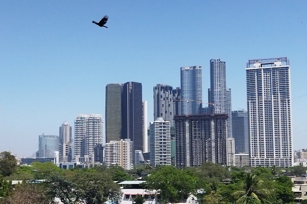 Ajmera Realty surges on launching Phase 1 of Ajmera Solis housing project in Vikhroli