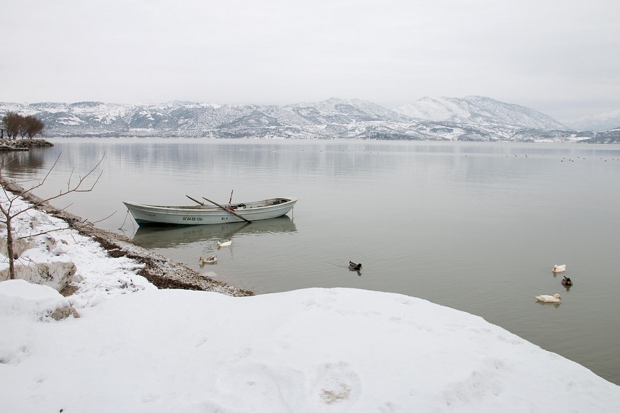 Seasonal Adventure: Embracing Natures Thrill Year-Round