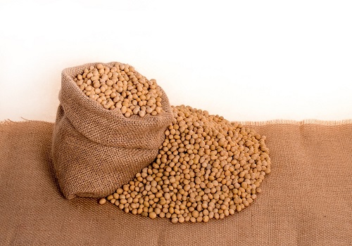 India`s soymeal exports seen picking up as global prices rally