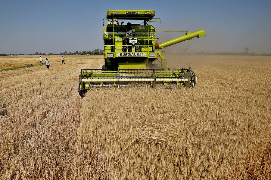 India braces for warmer February, wheat crop at risk, sources say